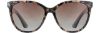 Picture of INVU Sunglasses INVU- 283
