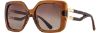 Picture of INVU Sunglasses INVU- 271