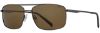 Picture of INVU Sunglasses INVU- 251