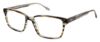 Picture of Izod Eyeglasses 2050