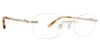 Picture of Jenny Lynn Eyeglasses Dignified