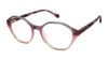 Picture of Jill Stuart Eyeglasses JS 434
