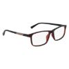 Picture of Joe Eyeglasses 4105