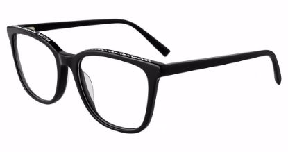 Picture of Jones New York Eyeglasses VJON793