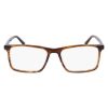 Picture of Joseph Abboud Eyeglasses JA4100