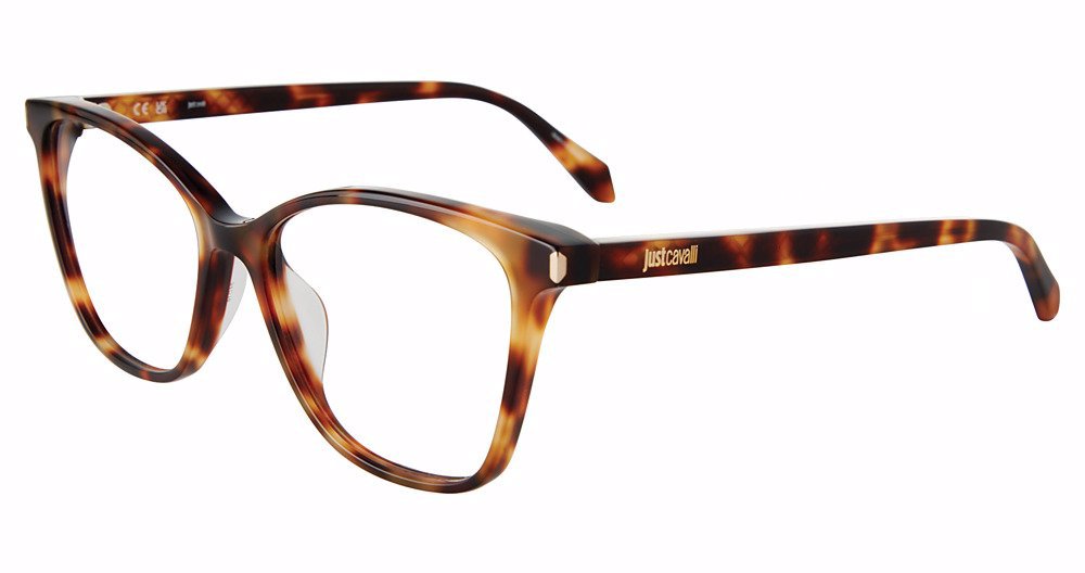 Picture of Just Cavalli Eyeglasses VJC051