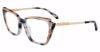 Picture of Just Cavalli Eyeglasses VJC053