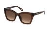 Picture of Just Cavalli Sunglasses SJC024