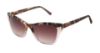 Picture of L.A.M.B. Sunglasses LA584