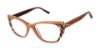 Picture of L.A.M.B. Eyeglasses LA116