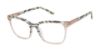 Picture of L.A.M.B. Eyeglasses LA084