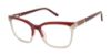 Picture of L.A.M.B. Eyeglasses LA084