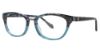 Picture of Leon Max Eyeglasses 4019