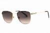 Picture of Levi's Sunglasses LV 1016/S