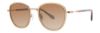 Picture of Lilly Pulitzer Sunglasses MONACO