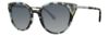 Picture of Lilly Pulitzer Sunglasses MONTAUK