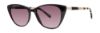 Picture of Lilly Pulitzer Sunglasses CAPRI
