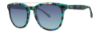 Picture of Lilly Pulitzer Sunglasses LUNI