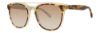 Picture of Lilly Pulitzer Sunglasses LUNI
