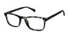 Picture of London Fog Eyeglasses LF 505