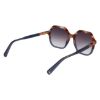 Picture of Longchamp Sunglasses LO760S