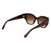 Picture of Longchamp Sunglasses LO764S