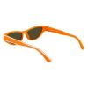 Picture of Longchamp Sunglasses LO761S