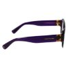 Picture of Longchamp Sunglasses LO749S