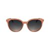 Picture of Longchamp Sunglasses LO752S