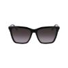 Picture of Longchamp Sunglasses LO719S