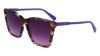 Picture of Longchamp Sunglasses LO719S