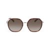 Picture of Longchamp Sunglasses LO163S