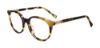 Picture of Lucky Brand Eyeglasses VLBD731