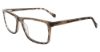 Picture of Lucky Brand Eyeglasses D416