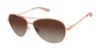 Picture of Lulu Guinness Sunglasses L169
