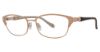 Picture of Max Studio Eyeglasses 150M