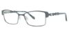 Picture of Max Studio Eyeglasses 141M