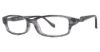 Picture of Max Studio Eyeglasses 113Z
