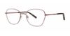 Picture of Modern Metals Eyeglasses Soothe