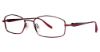 Picture of Modern Metals Eyeglasses Kind