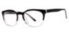 Picture of Modern Plastics I Eyeglasses Genius