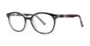 Picture of Modern Plastics II Eyeglasses Teagan