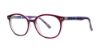 Picture of Modern Plastics II Eyeglasses Teagan