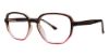 Picture of Modern Plastics II Eyeglasses Plaza