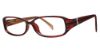 Picture of Modern Plastics II Eyeglasses Kelsie