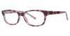 Picture of Modern Plastics II Eyeglasses Hopscotch