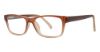 Picture of Modern Plastics II Eyeglasses Everly