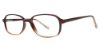 Picture of Modern Plastics II Eyeglasses Dillon