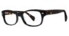 Picture of ModZ Eyeglasses Lubbock
