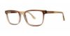 Picture of ModZ Eyeglasses Lexington